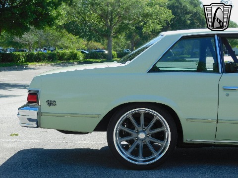 1979 Chevrolet Malibu image 41