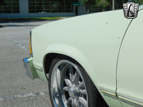 1979 Chevrolet Malibu image 67