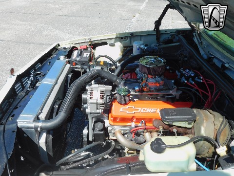 1979 Chevrolet Malibu image 119