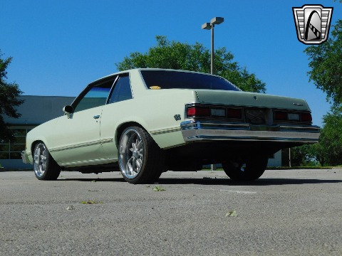 1979 Chevrolet Malibu image 17