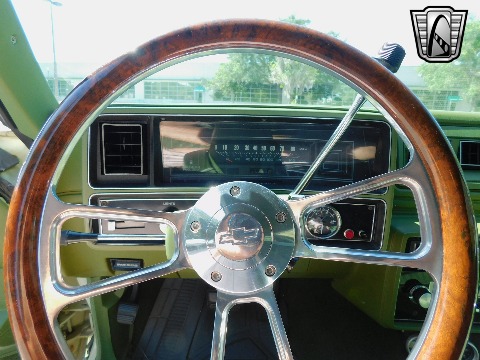 1979 Chevrolet Malibu image 97