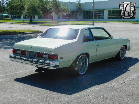 1979 Chevrolet Malibu image 21