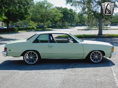 1979 Chevrolet Malibu image 24