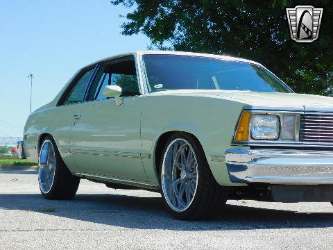 1979 Chevrolet Malibu image 51