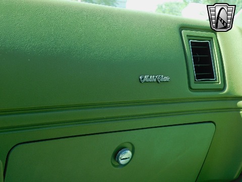 1979 Chevrolet Malibu image 103