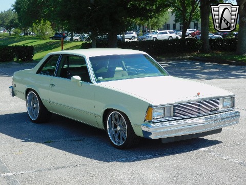 1979 Chevrolet Malibu image 27