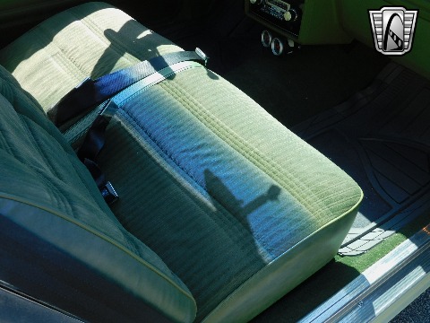 1979 Chevrolet Malibu image 105