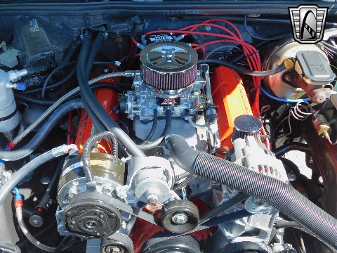 1979 Chevrolet Malibu image 131