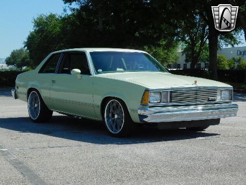 1979 Chevrolet Malibu image 28