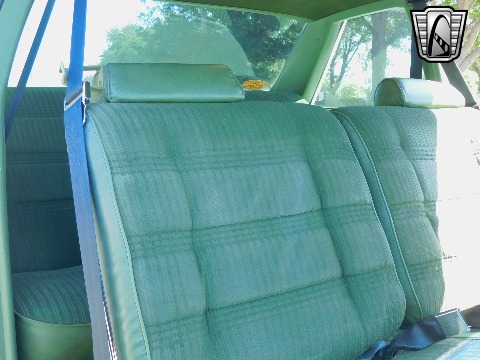 1979 Chevrolet Malibu image 106