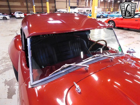 1966 Shelby Cobra Tribute image 59