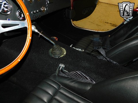 1966 Shelby Cobra Tribute image 101