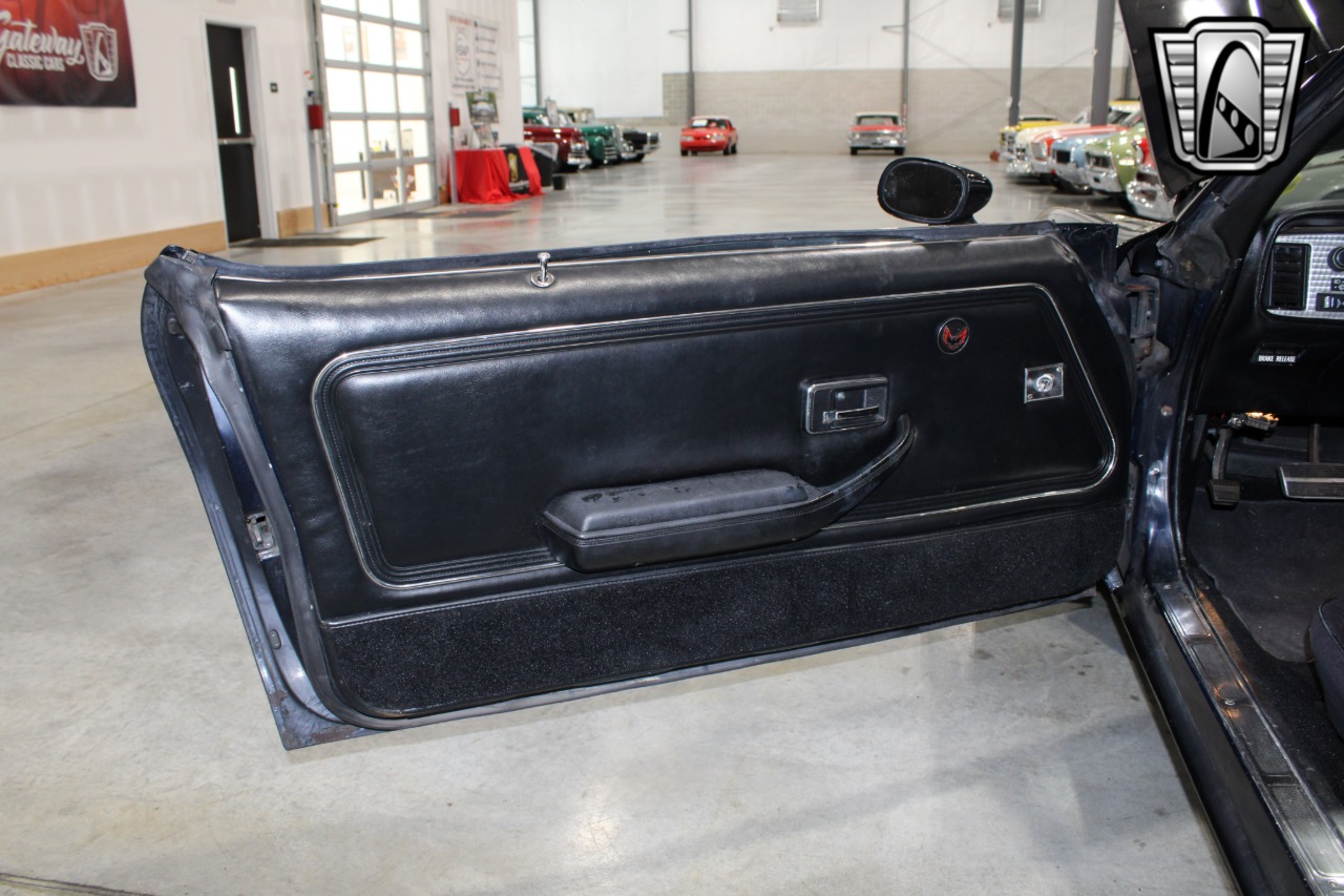 1981 Pontiac Firebird 91