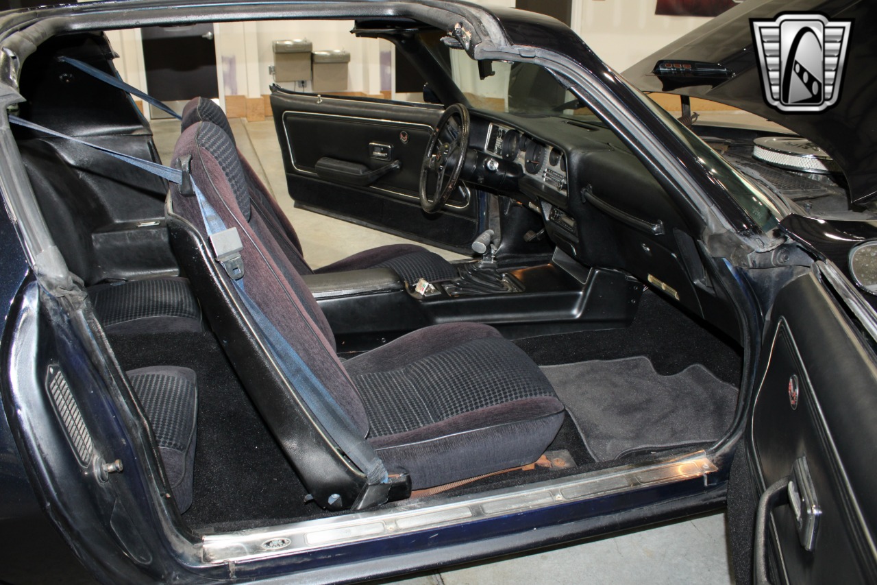 1981 Pontiac Firebird 7