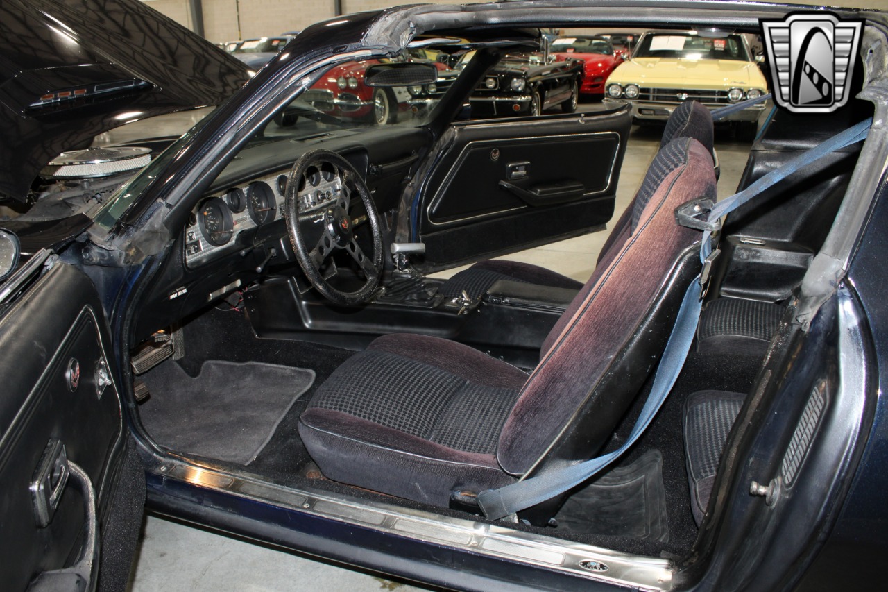 1981 Pontiac Firebird 95