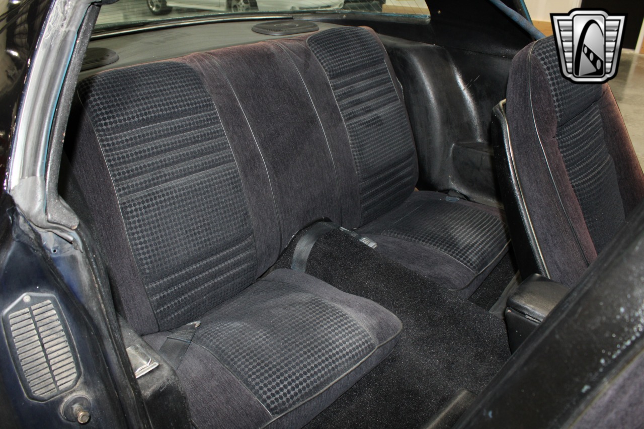 1981 Pontiac Firebird 25