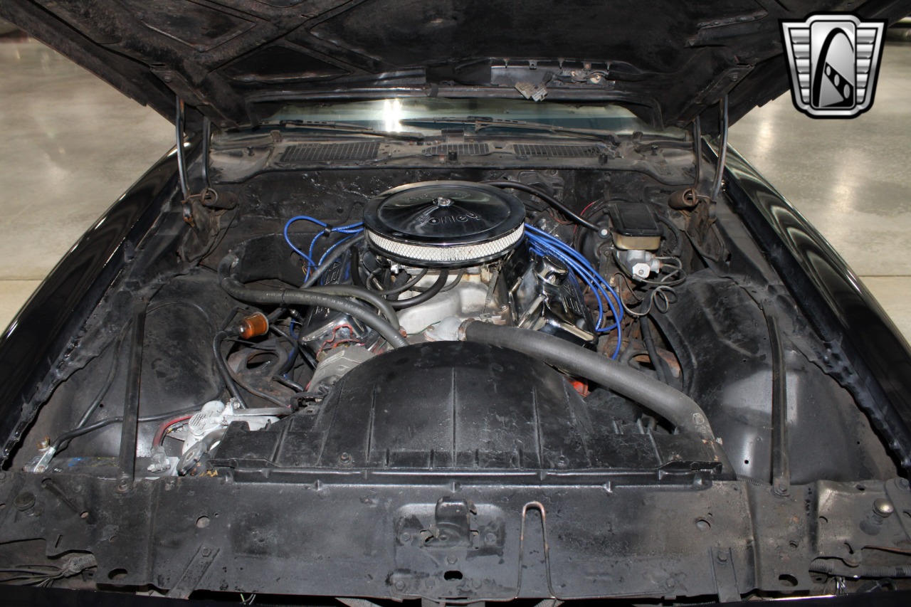 1981 Pontiac Firebird 9