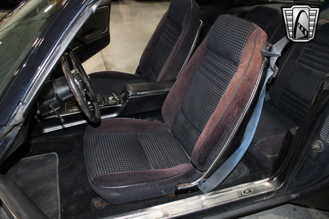 1981 Pontiac Firebird 97