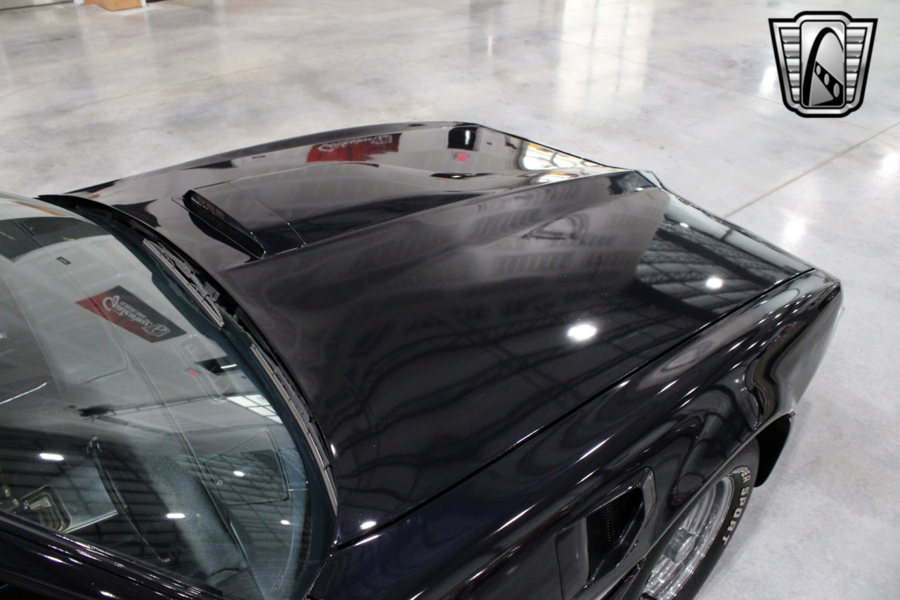 1981 Pontiac Firebird 80