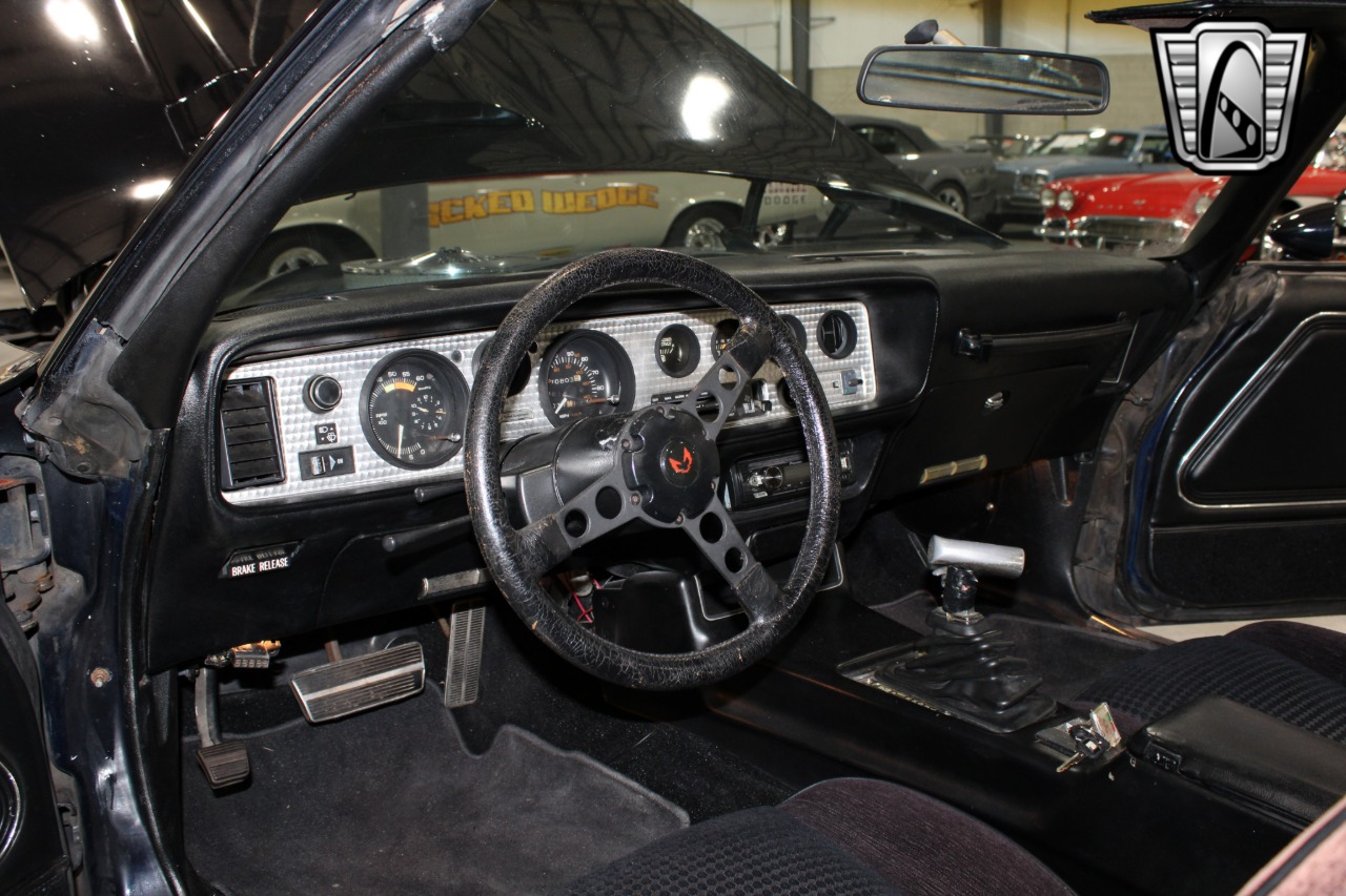 1981 Pontiac Firebird 23