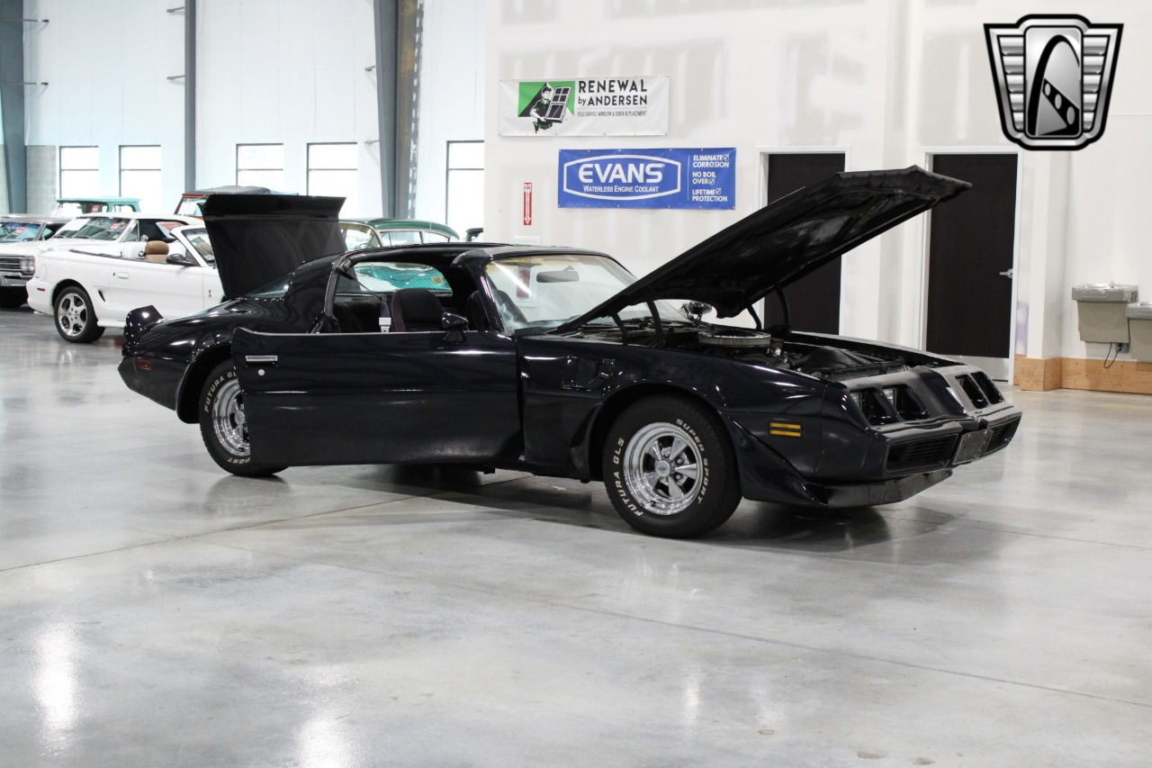 1981 Pontiac Firebird 20