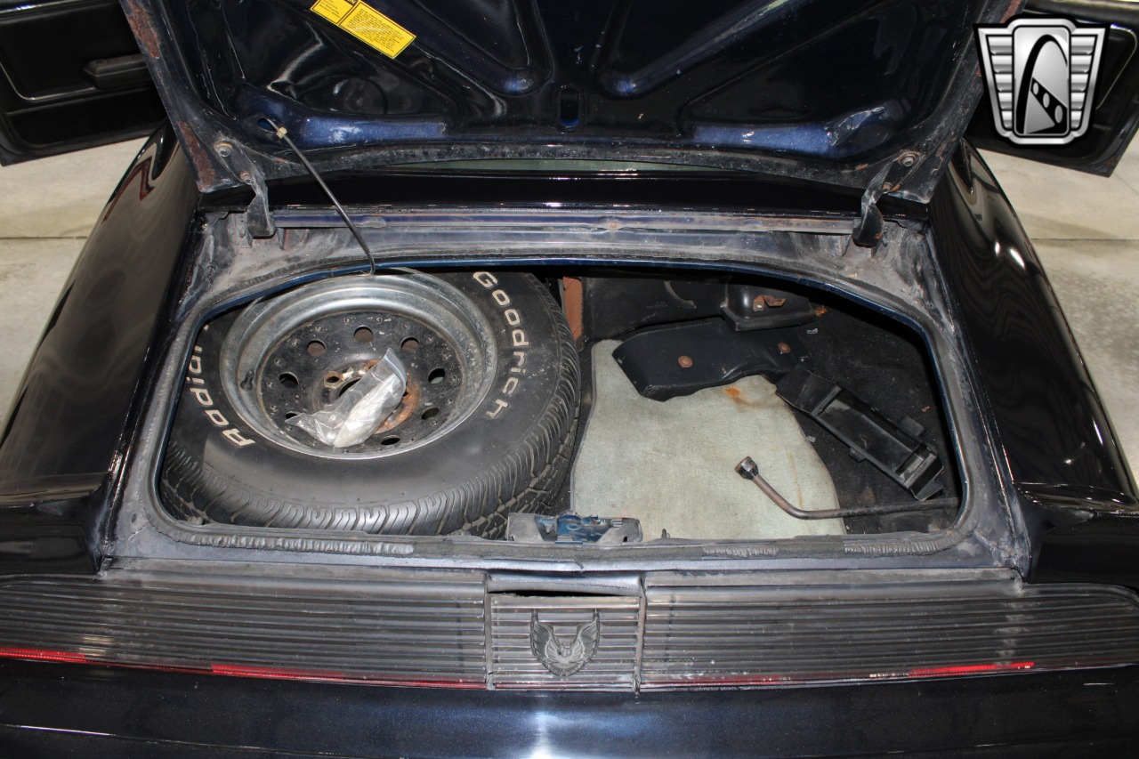 1981 Pontiac Firebird 22