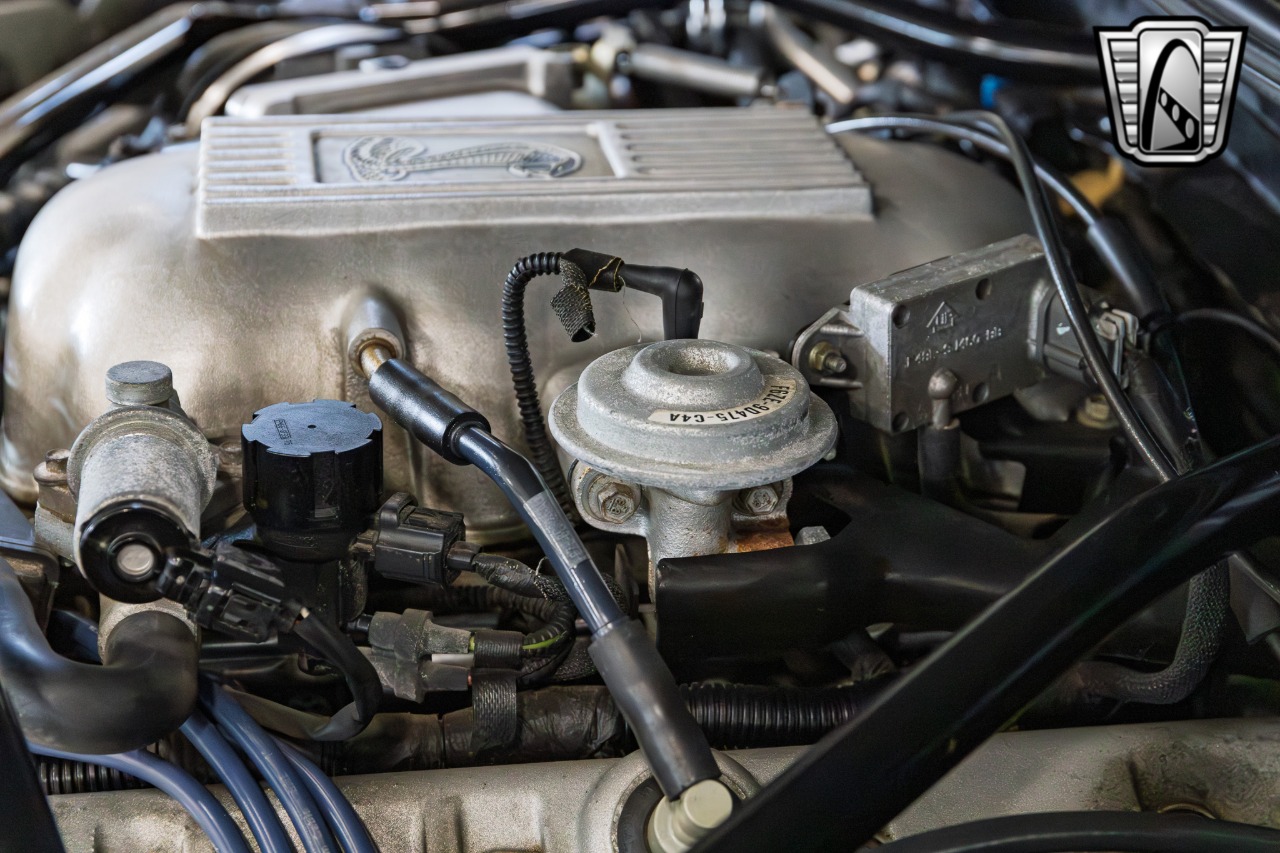 1996 Ford Mustang SVT Cobra 91