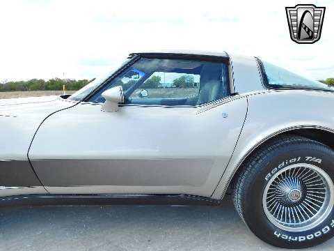 1982 Chevrolet Corvette image 31