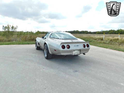 1982 Chevrolet Corvette image 10
