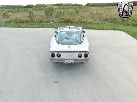 1982 Chevrolet Corvette image 12