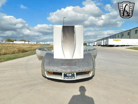 1982 Chevrolet Corvette image 68