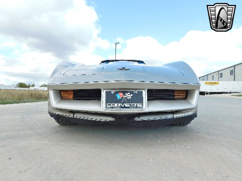 1982 Chevrolet Corvette image 50