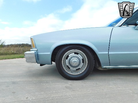 1979 Chevrolet Malibu image 29