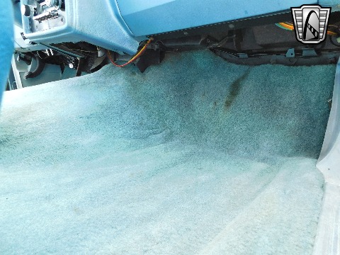 1979 Chevrolet Malibu image 107