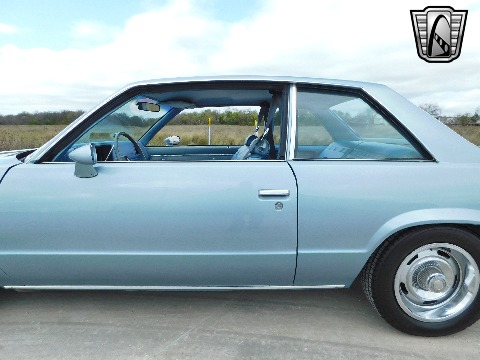 1979 Chevrolet Malibu image 31