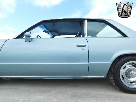 1979 Chevrolet Malibu image 32