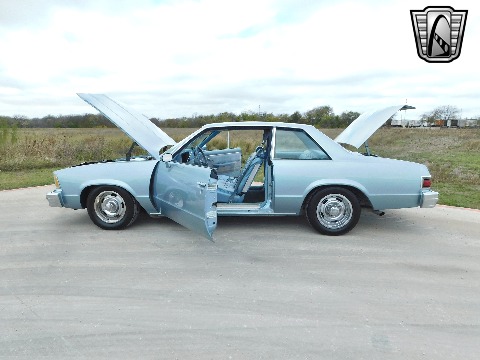 1979 Chevrolet Malibu image 59