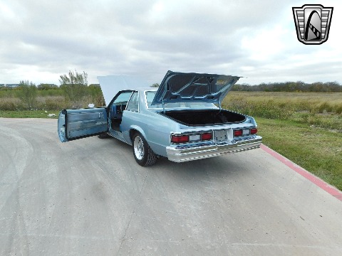 1979 Chevrolet Malibu image 60