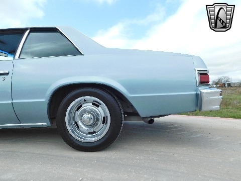 1979 Chevrolet Malibu image 35