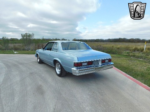 1979 Chevrolet Malibu image 10