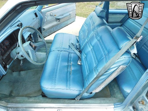 1979 Chevrolet Malibu image 88
