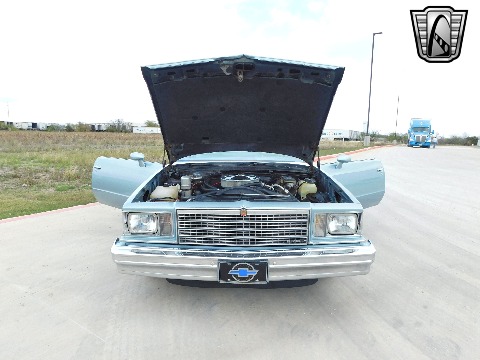 1979 Chevrolet Malibu image 65