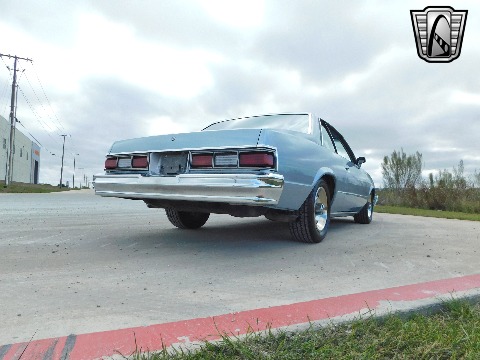 1979 Chevrolet Malibu image 17
