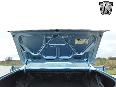 1979 Chevrolet Malibu image 69