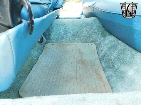 1979 Chevrolet Malibu image 99