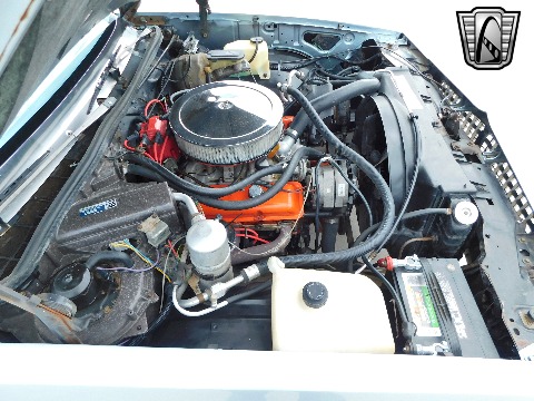 1979 Chevrolet Malibu image 74