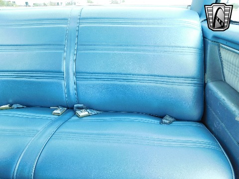 1979 Chevrolet Malibu image 100