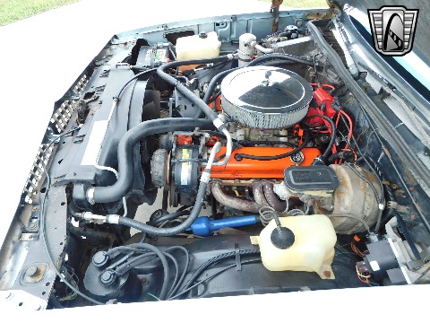 1979 Chevrolet Malibu image 76