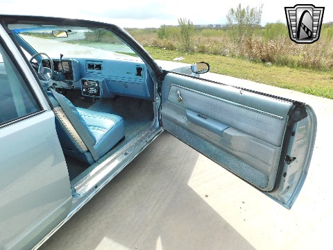 1979 Chevrolet Malibu image 102