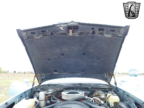 1979 Chevrolet Malibu image 77